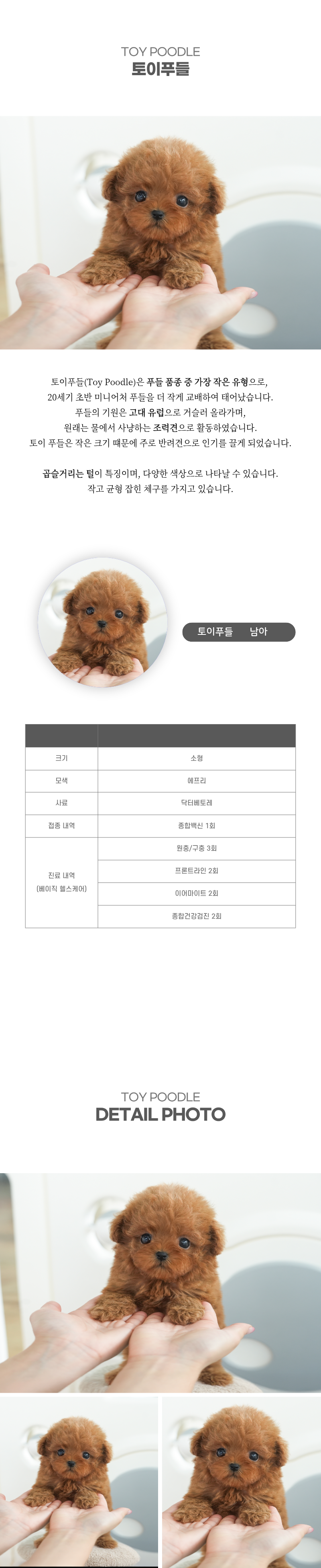 토이푸들_상세이미지_2